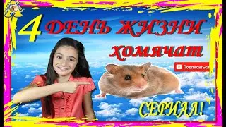 сериал.ЧЕТВЕРТЫЙ ДЕНЬ жизни ХОМЯЧАТ / КАК УХАЖИВАТЬ за хомячатами / хомяк / хомячок / hamster kids