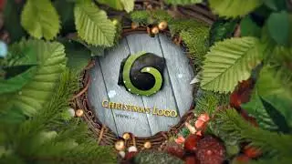 Best After Effects Templates -  New Year & Christmas Logo Reveal