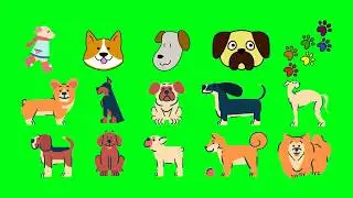 🐶 Cute ANIMATED DOG Green Screen 🐕🐩