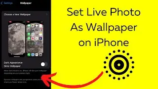 How to Set Live Photo as Wallpaper on iPhone