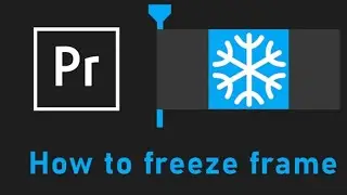 How to create Freeze Frame Effect in Adobe Premiere Pro (Halt Video Playback On A Single Frame)