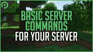 Basic Server Commands for Your Server!