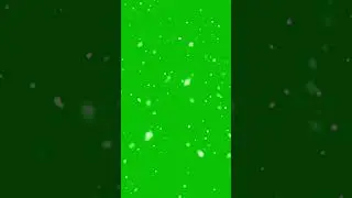 Loop able Green Screen Snowfall