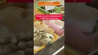Можно ли купить недвижимость в Тайланде иностранцу? #shorts