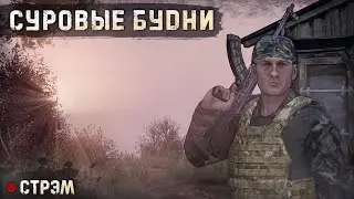 DayZ 1.20 | PERVAK | СТРЭМ | СУРОВЫЕБУДНИ