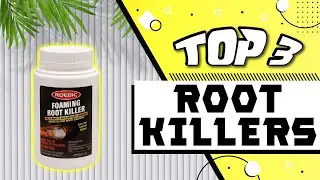 Best Root Killer for Sewer Lines [Reviewed]