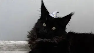 Гадаем с Вами!🕯️