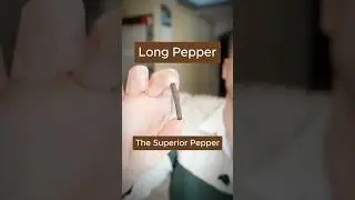 This is Long Pepper - the pepper of Ancient Rome