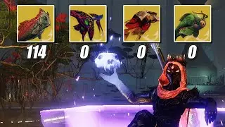 Destiny 2: How Rare Are Exotic Fish? (All Fish Percentages & Info)