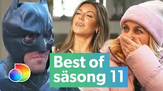 Best of Wahlgrens Värld säsong 11 | discovery+ Sverige