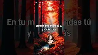 En tu mente mandas Tú y nadie más #reflexion #mentalidad #motivacion #shortsvideo