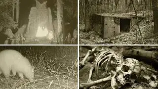 Unbelievable Discoveries Found In The Woods Shocked The World