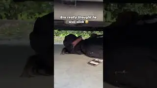 World’s Smartest Mechanic 🤣