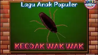 Lagu Lucu Banget KECOAK WAK WAK - Lagu Anak populer #laguanak #kbeebsingtv