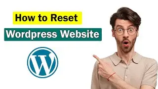 How To Reset Wordpress Website (2024) Easy solution