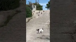You're in the wrong neighborhood, buddy.
