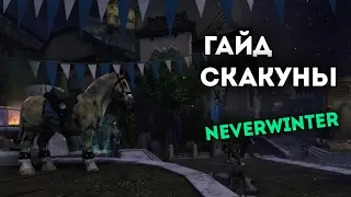 Гайд Скакуны. Neverwinter Online