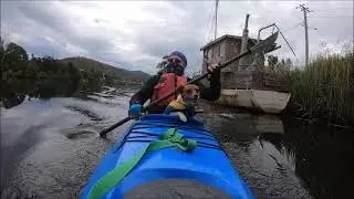 Kayaking DERWENT River Trip 636  Derwent P65N Kayak 11-12-22