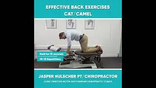 #backexercises #nomorebackpain