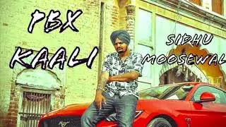 PBX KAALI | ORIGINAL SONG 2020| SIDHU MOOSEWALA| WAVE PRODUCTION