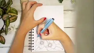 Hand drawing + Illustration for Beginners