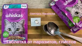 Таблетка от глистов и паразитов! Как проглистогонить Лохматика 😻!