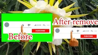 How to remove Green screen in Premiere Pro