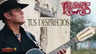 LOS PALOMINOS - TUS DESPRECIOS (Audio Oficial) 2023