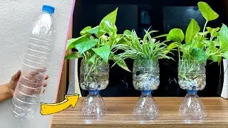 Simple ways to grow plants bring fresh space to your home