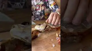 ВОБЛА КУРИТ В СТОРОНКЕ 🐟КОЛЫМСКИЙ ЧЕБАК 