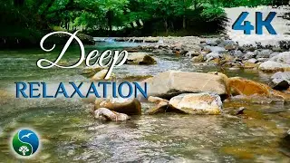 Picturesque Mountain River and Nature Sounds | See 1 Hour of Nature for Deep Sleep and Relaxation