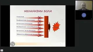 Мультимодальная анальгезия Карелов А.Е.