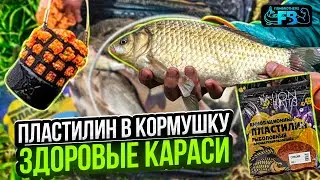 КРУПНЫЕ КАРАСИ НА РЫБОЛОВНЫЙ ПЛАСТИЛИН! + Краснокнижный бонус!