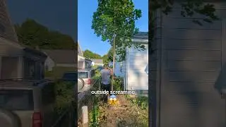 She CALLED THE COPS!? 🚔 #drama #tree #removal #story #shorts