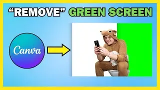 How To Remove A Green Screen Background In Canva (Image and Video)