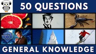 General Knowledge Quiz Trivia #181 | Grapefruit, Charlie Chaplin, Scorpion, Dr Who, Ski Slopes