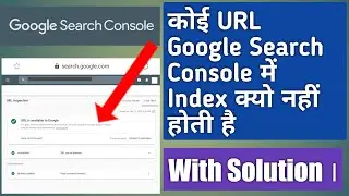 Why Some URL is Not index in Google Search Console