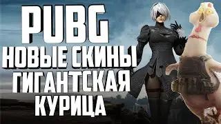 Обзор обновления PUBG со скинами Nier Automata и режима гигантской курицы! | НЕ pubg mobile | steam