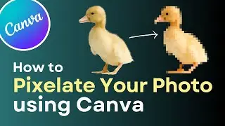 First Impression of New Canva App: Pixelify (Pixelate Your Photos!)