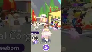 Roblox Adopt Me New Royal Corgi Pet And Royal Palace Spaniel Pet! 