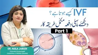 IVF Process Step by Step || Dr Naila Jabeen