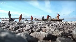 Сети, бударка и немного удачи | С полем!