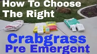 Best pre emergent.  Crabgrass control with pre emergent herbicide. DIY How to choose the right Pre M