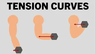 How Tension Curves Influence Muscle Growth | Exercise Selection for Hypertrophy Training