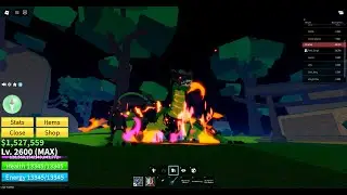 West Dragon vs Sprit 1v1 (Blox Fruits)