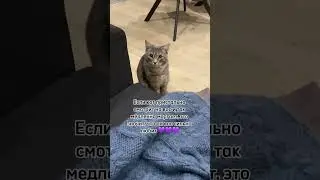 Такой он маленький еще тут 💜💜 