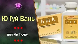 Пилюли Ю Гуй Вань (You Gui Wan) для Ян Почек