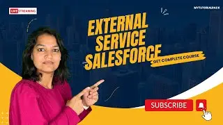 Lecture 15 : What is an external service Salesforce? What are examples of external services?