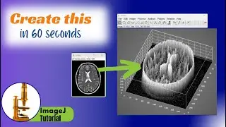 2d image to 3D surface plot tutorial | ImageJ Image Processing