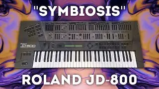 Roland JD-800 - Custom Sounds for 31 Anniversary!